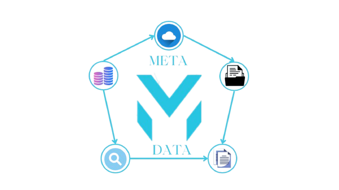 MetaData